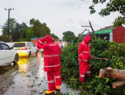 POLRES METRO LAKSANAKAN PATROLI SIAGA BENCANA, EVAKUASI POHON TUMBANG DI TIGA TITIK