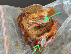 Gawat !! MBG Di Yosorejo Diduga Ditemukan Ulat Didalam Buah Kurma