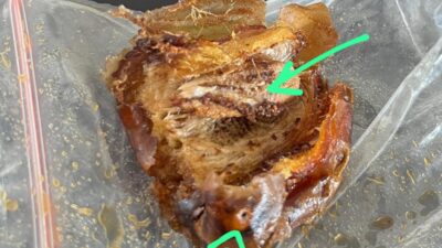 Gawat !! MBG Di Yosorejo Diduga Ditemukan Ulat Didalam Buah Kurma