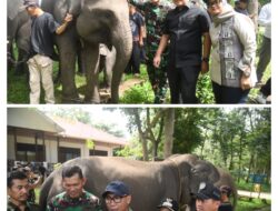 Ketua DPRD Lampung: Atensi Presiden Jadikan Way Kambas Percontohan Nasional Harus Dikawal Bersama