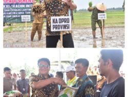 Ketua DPRD Provinsi Lampung, A. Giri Akbar, S.E., M.B.A., Hadiri Kegiatan Tanam Padi Bersama Forkopimda