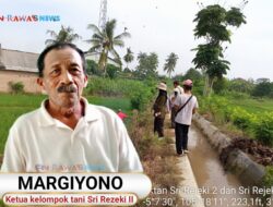 Kelompok Tani Sri Rezeki II Metro Pusat Gelar Gropyokan Tikus, Tekan Ancaman Gagal Panen