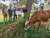 PWSI Terima Bantuan Sapi Kurban Pemkab Lamtim dan Siap Bagikan ke Awak Media IMG-20260526-WA0034_copy_800x590