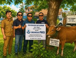 Pemkab Lamtim Salurkan Satu Ekor Sapi Kurban Ke Kantor Sekretariat PWSI Untuk Insan Pers