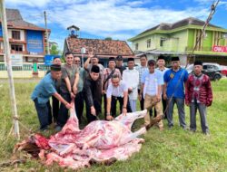 Bantuan Sapi Kurban Pemkab Lampung Timur Jadi Simbol Persatuan Insan Pers