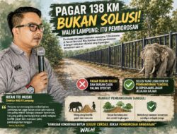 WALHI Nilai Pembangunan Pagar TNWK Pemborosan di Tengah Efisiensi Anggaran
