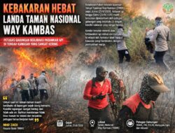 Kebakaran Hebat Melanda TNWK, Petugas Berjibaku Padamkan Api