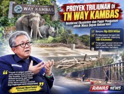 Way Kambas Gelontorkan Rp839 Miliar Bangun Pagar 138 Km, Benarkah Konflik Manusia-Gajah Teratasi?